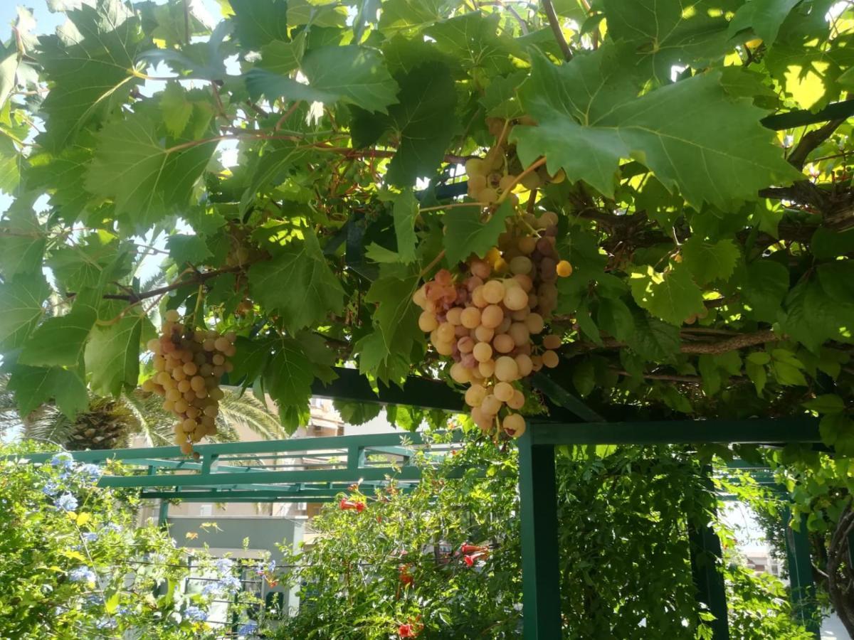 Vidos Makarska
