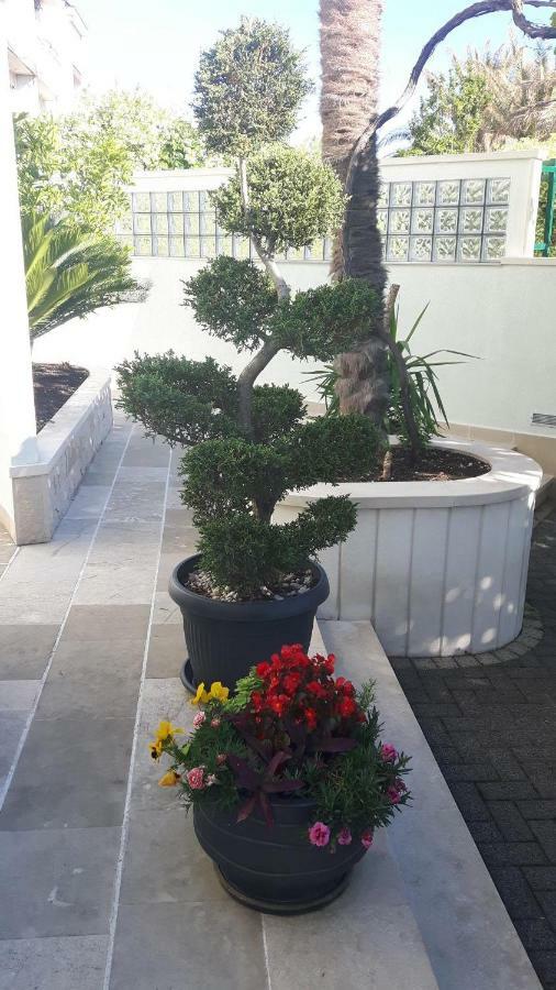 Apartament Vidos