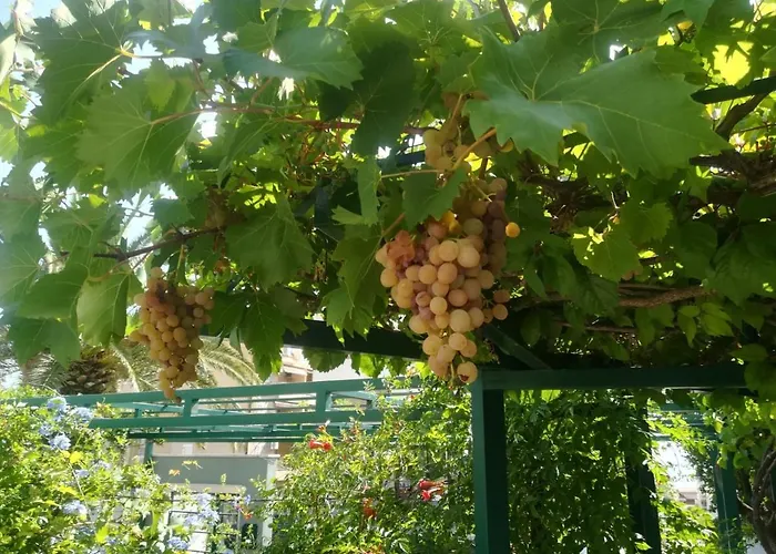 Apartmani Vidoš