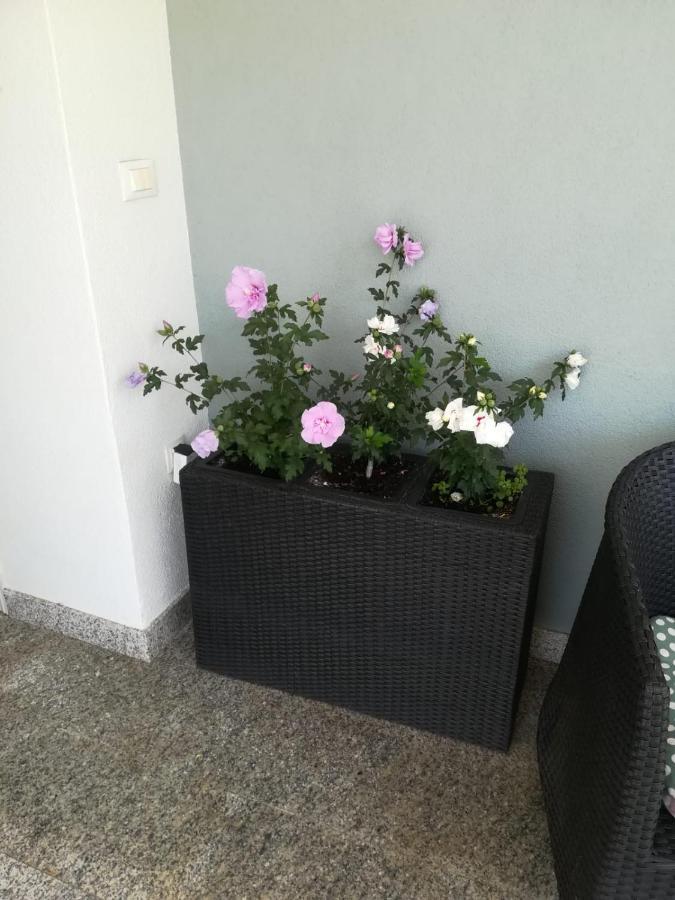 Apartamento Vidoš *